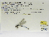  ( - INB0004316366)  @12 [ ] Copyright (2012) B. Haber Instituto Nacional de Biodiversidad