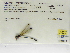 ( - INB0004316372)  @11 [ ] Copyright (2012) B. Haber Instituto Nacional de Biodiversidad