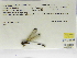  ( - INB0004316373)  @11 [ ] Copyright (2012) B. Haber Instituto Nacional de Biodiversidad