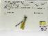  ( - INB0004316378)  @11 [ ] Copyright (2012) B. Haber Instituto Nacional de Biodiversidad