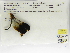  ( - INB0004316498)  @12 [ ] Copyright (2012) B. Haber Instituto Nacional de Biodiversidad