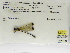  ( - INB0004316546)  @11 [ ] Copyright (2012) B. Haber Instituto Nacional de Biodiversidad
