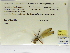  ( - INB0004316551)  @11 [ ] Copyright (2012) B. Haber Instituto Nacional de Biodiversidad