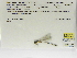  ( - INB0004316561)  @12 [ ] Copyright (2012) B. Haber Instituto Nacional de Biodiversidad