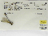  ( - INB0004316573)  @11 [ ] Copyright (2012) B. Haber Instituto Nacional de Biodiversidad