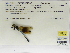  ( - INB0004316583)  @11 [ ] Copyright (2012) B. Haber Instituto Nacional de Biodiversidad