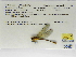  ( - INB0004316591)  @11 [ ] Copyright (2012) B. Haber Instituto Nacional de Biodiversidad