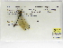  ( - INB0004316602)  @12 [ ] Copyright (2012) B. Haber Instituto Nacional de Biodiversidad