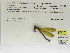  ( - INB0004316606)  @11 [ ] Copyright (2012) B. Haber Instituto Nacional de Biodiversidad