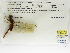  ( - INB0004316628)  @11 [ ] Copyright (2012) B. Haber Instituto Nacional de Biodiversidad