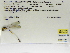  ( - INB0004316642)  @12 [ ] Copyright (2012) B. Haber Instituto Nacional de Biodiversidad