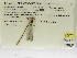  ( - INB0004316647)  @11 [ ] Copyright (2012) B. Haber Instituto Nacional de Biodiversidad
