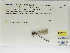  ( - INB0004317767)  @11 [ ] Copyright (2012) B. Haber Instituto Nacional de Biodiversidad