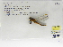  ( - INB0004318677)  @12 [ ] Copyright (2012) B. Haber Instituto Nacional de Biodiversidad