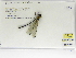  ( - INB0004318710)  @12 [ ] Copyright (2012) B. Haber Instituto Nacional de Biodiversidad