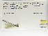  ( - INB0004318742)  @11 [ ] Copyright (2012) B. Haber Instituto Nacional de Biodiversidad