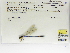  ( - INB0004318743)  @11 [ ] Copyright (2012) B. Haber Instituto Nacional de Biodiversidad