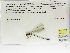  (Palaemnema baltodanoi - INB0004318744)  @12 [ ] Copyright (2012) B. Haber Instituto Nacional de Biodiversidad