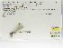  ( - INB0004318747)  @12 [ ] Copyright (2012) B. Haber Instituto Nacional de Biodiversidad