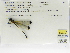  ( - INB0004318944)  @12 [ ] Copyright (2012) B. Haber Instituto Nacional de Biodiversidad