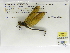  ( - INB0004318946)  @14 [ ] Copyright (2012) B. Haber Instituto Nacional de Biodiversidad