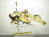  ( - INBIOCRI002201615)  @11 [ ] Copyright (2012) C. Hernandez Instituto Nacional de Biodiversidad