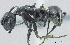  ( - HP0029)  @11 [ ] CreativeCommons - Attribution Non-Commercial Share-Alike (2011) Milan Janda Czech Academy of Sciences