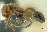  ( - HP0046)  @13 [ ] CreativeCommons - Attribution Non-Commercial Share-Alike (2011) Milan Janda Czech Academy of Sciences