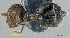  ( - MJ8949)  @13 [ ] CreativeCommons - Attribution Non-Commercial Share-Alike (2011) Milan Janda Czech Academy of Sciences