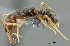  ( - MJ9159)  @14 [ ] CreativeCommons - Attribution Non-Commercial Share-Alike (2011) Milan Janda Czech Academy of Sciences