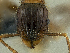  ( - PK-EE106)  @12 [ ] CreativeCommons - Attribution Non-Commercial Share-Alike (2011) Milan Janda Czech Academy of Sciences