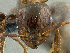  ( - PK-EE111)  @12 [ ] CreativeCommons - Attribution Non-Commercial Share-Alike (2011) Milan Janda Czech Academy of Sciences