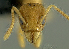  ( - PK-EE122)  @12 [ ] CreativeCommons - Attribution Non-Commercial Share-Alike (2011) Milan Janda Czech Academy of Sciences