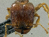  ( - PK-EE139)  @12 [ ] CreativeCommons - Attribution Non-Commercial Share-Alike (2011) Milan Janda Czech Academy of Sciences