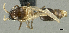  ( - PK-EE143)  @11 [ ] CreativeCommons - Attribution Non-Commercial Share-Alike (2011) Milan Janda Czech Academy of Sciences