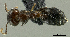  ( - PK-EE143)  @11 [ ] CreativeCommons - Attribution Non-Commercial Share-Alike (2011) Milan Janda Czech Academy of Sciences