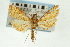  ( - CNCLEP00088880)  @12 [ ] CreativeCommons - Attribution Non-Commercial Share-Alike (2011) Jean-Francois Landry, CNC and Zhaofu Yang, BIO Canadian National Collections