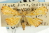  ( - CNCLEP00088918)  @11 [ ] CreativeCommons - Attribution Non-Commercial Share-Alike (2011) Jean-Francois Landry, CNC and Zhaofu Yang, BIO Canadian National Collections