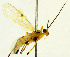  ( - BCLDQR-00003)  @12 [ ] CreativeCommons - Attribution Non-Commercial No Derivatives  Unspecified Unspecified