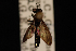  ( - 10-SKAS-366)  @11 [ ] CreativeCommons - Attribution (2010) Unspecified Centre for Biodiversity Genomics