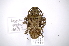  ( - INB0003034844)  @15 [ ] Copyright (2012) A. Solis Instituto Nacional de Biodiversidad