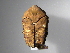  ( - INB0003046118)  @13 [ ] Copyright (2010) A. Solis Unspecified