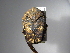  ( - INB0003095335)  @14 [ ] Copyright (2010) A. Solis Unspecified