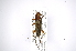  ( - INB0003105023)  @13 [ ] Copyright (2012) A. Solis Instituto Nacional de Biodiversidad