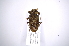  ( - INB0003130893)  @13 [ ] Copyright (2012) A. Solis Instituto Nacional de Biodiversidad