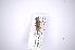  ( - INB0003303014)  @11 [ ] Copyright (2012) A. Solis Instituto Nacional de Biodiversidad
