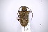  ( - INB0003323505)  @13 [ ] Copyright (2012) A. Solis Instituto Nacional de Biodiversidad