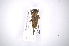  ( - INB0003335779)  @12 [ ] Copyright (2012) A. Solis Instituto Nacional de Biodiversidad