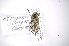 ( - INB0003337354)  @12 [ ] Copyright (2012) A. Solis Instituto Nacional de Biodiversidad