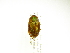  ( - INB0003337366)  @14 [ ] Copyright (2012) A. Solis Instituto Nacional de Biodiversidad